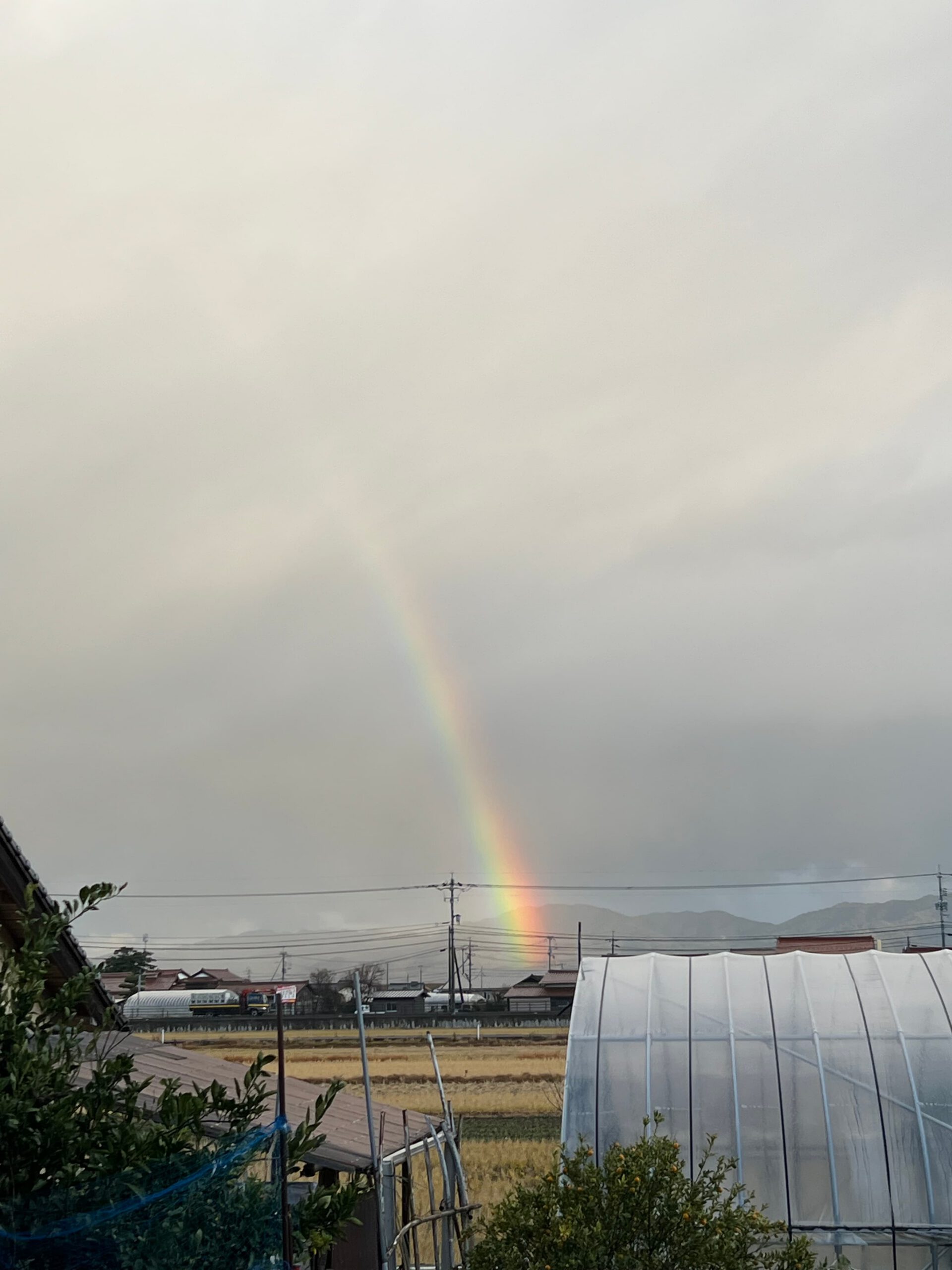 島根県出雲市の風景
